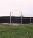 IMG_0007(4)