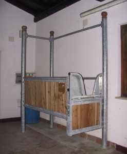 IMG_0010 mod(1)