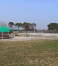IMG_0015(1)